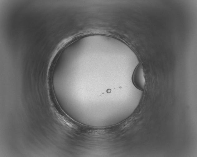 X0000055210104200508301332.png