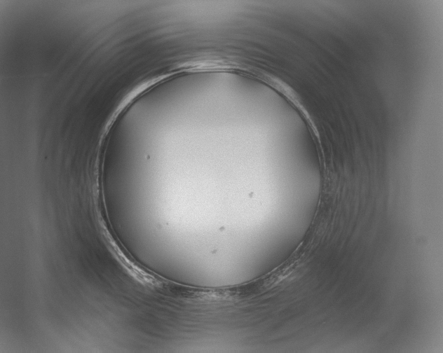 X0000055211195200508301313.png