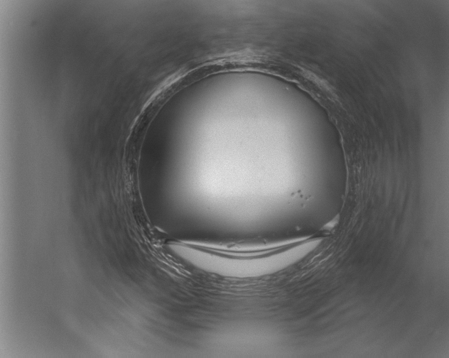 X0000055251160200509071608.png
