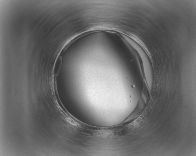 X0000055060996200508161641.png