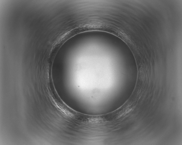 X0000055060446200508161650.png