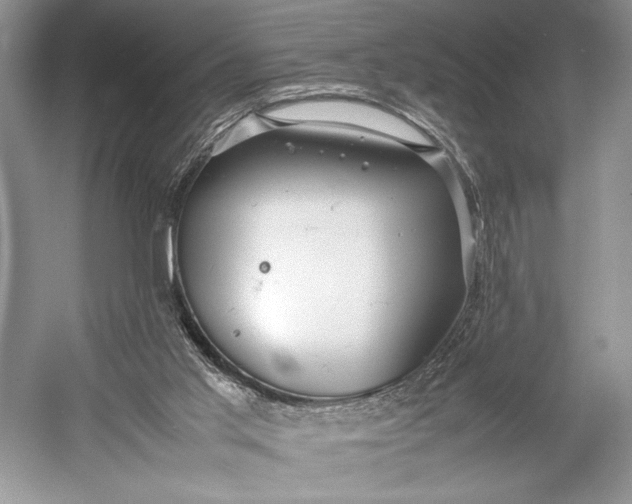 X0000055060013200508161657.png