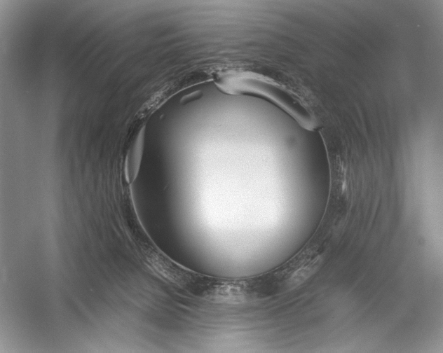 X0000055060080200508161657.png