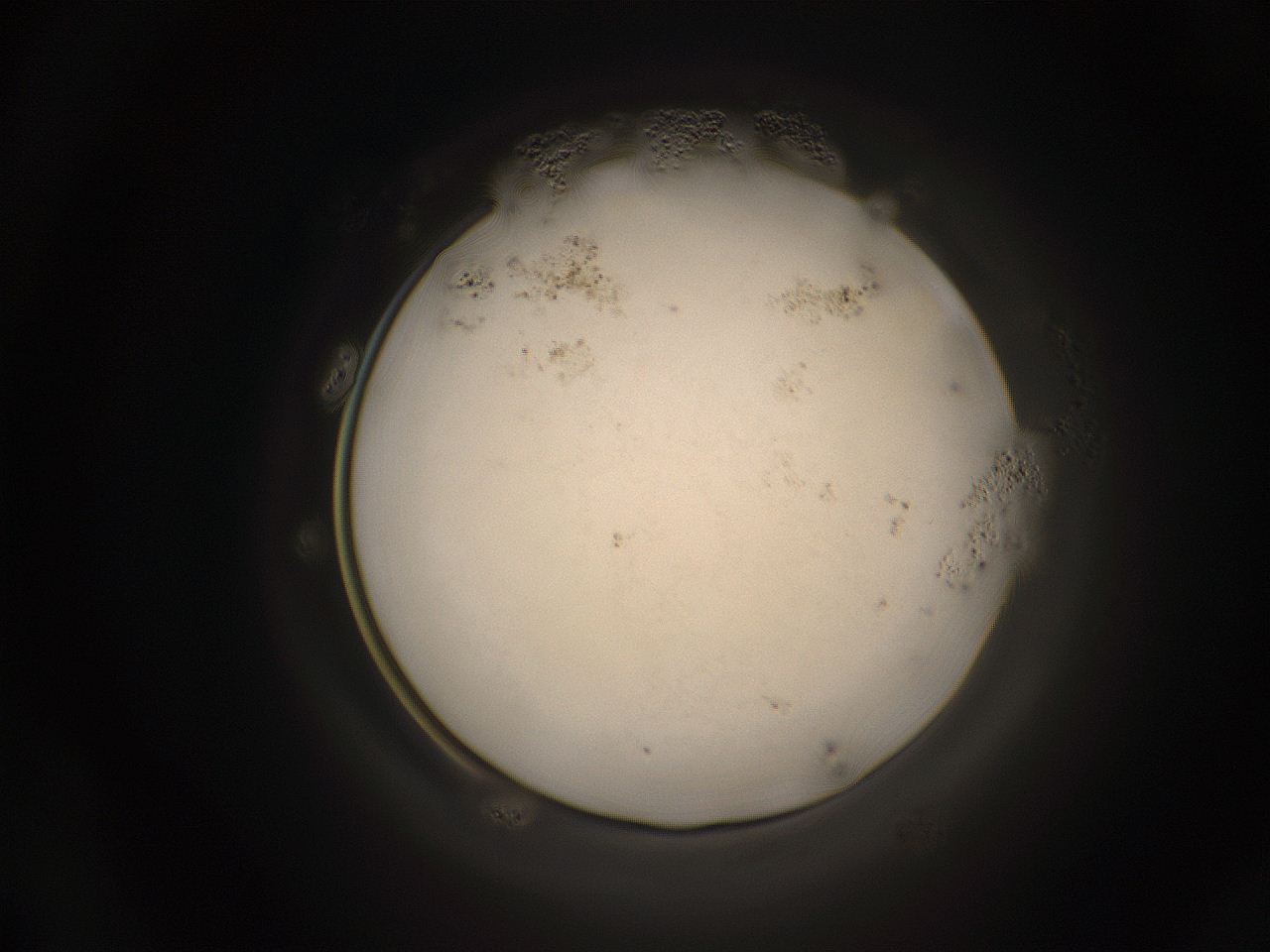 059h_A13_ImagerDefaults_7.jpg