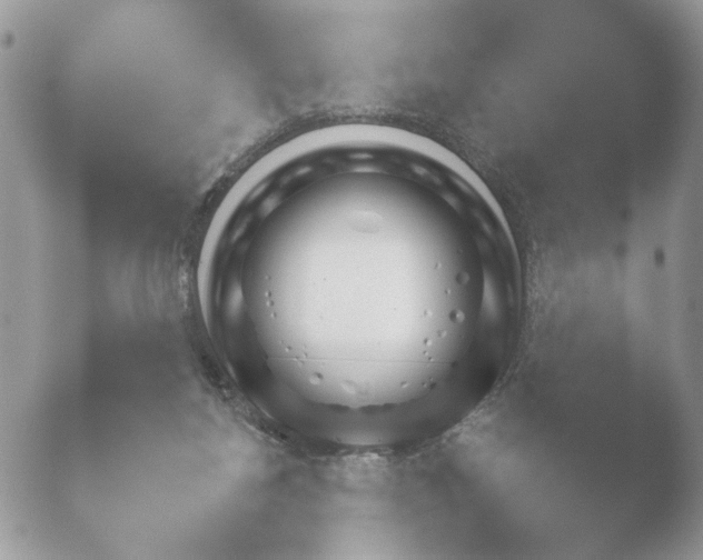 X0000052120168200507262100.png