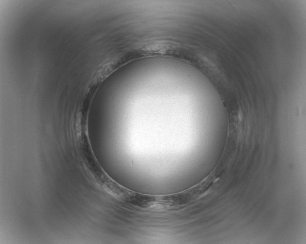 X0000054330504200508111923.png