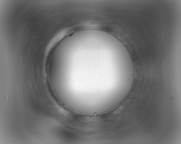 X0000054330245200508111926.png