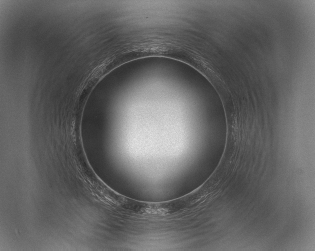 X0000055210403200508301327.png