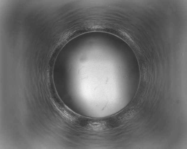 X0000055060447200508161650.png
