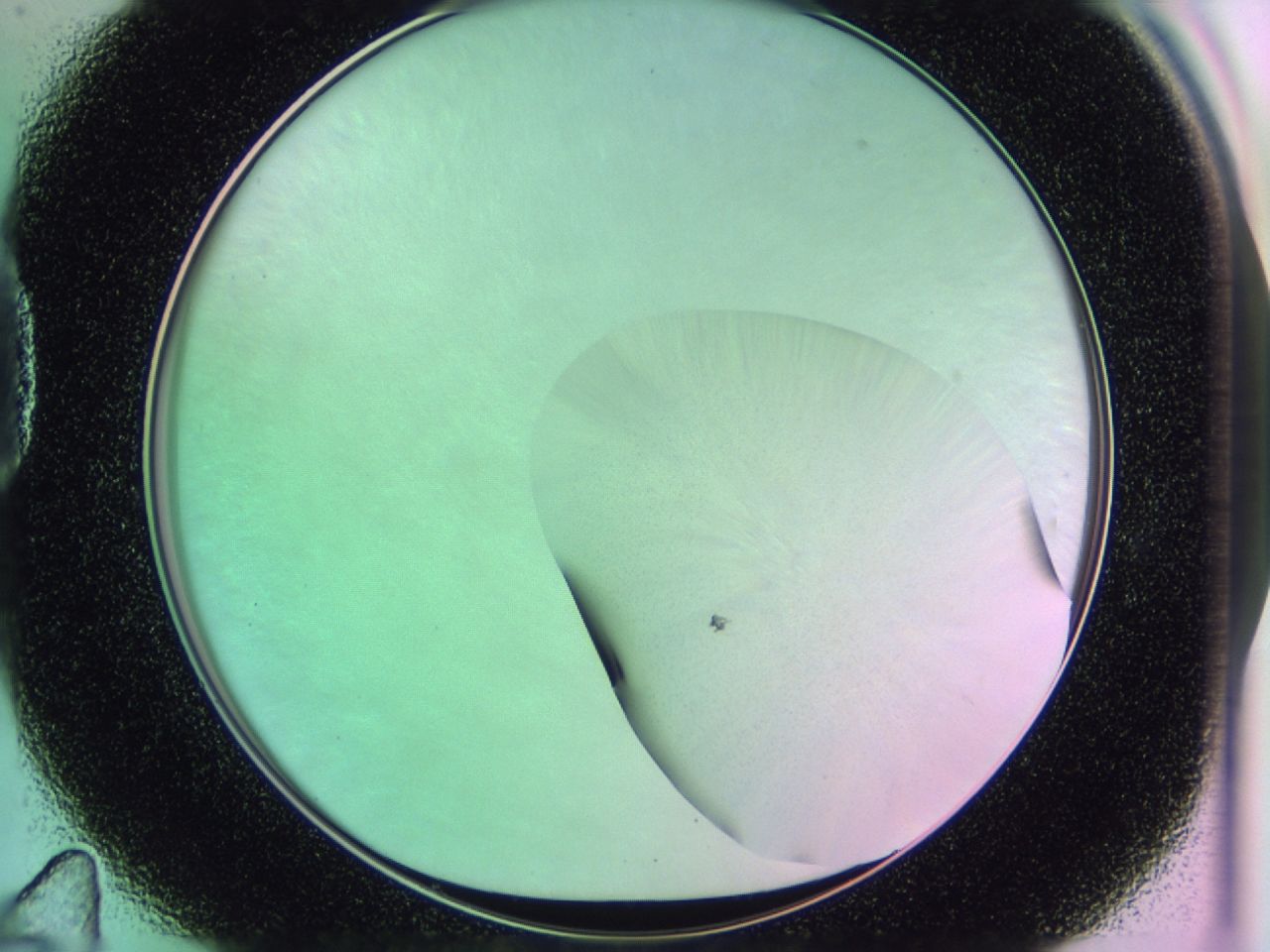 01ge_D11_ImagerDefaults_0.jpg