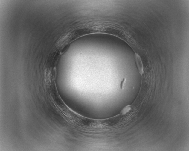 X0000055060597200508161648.png