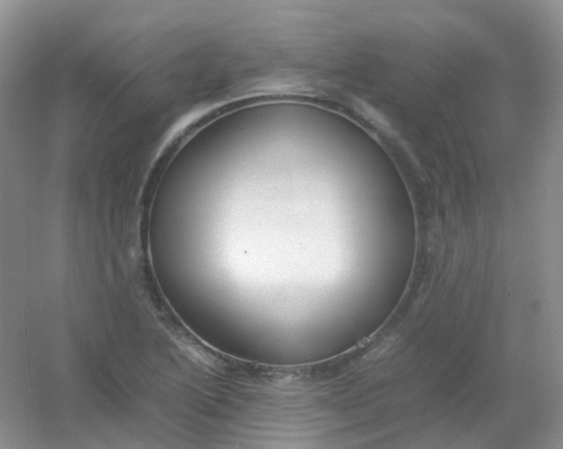 X0000054331222200508111910.png