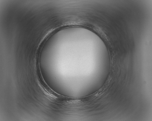 X0000055210108200508301332.png