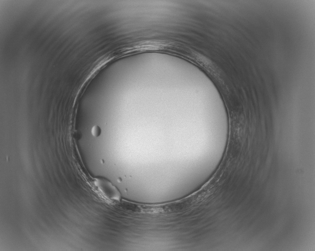 X0000055211186200508301314.png