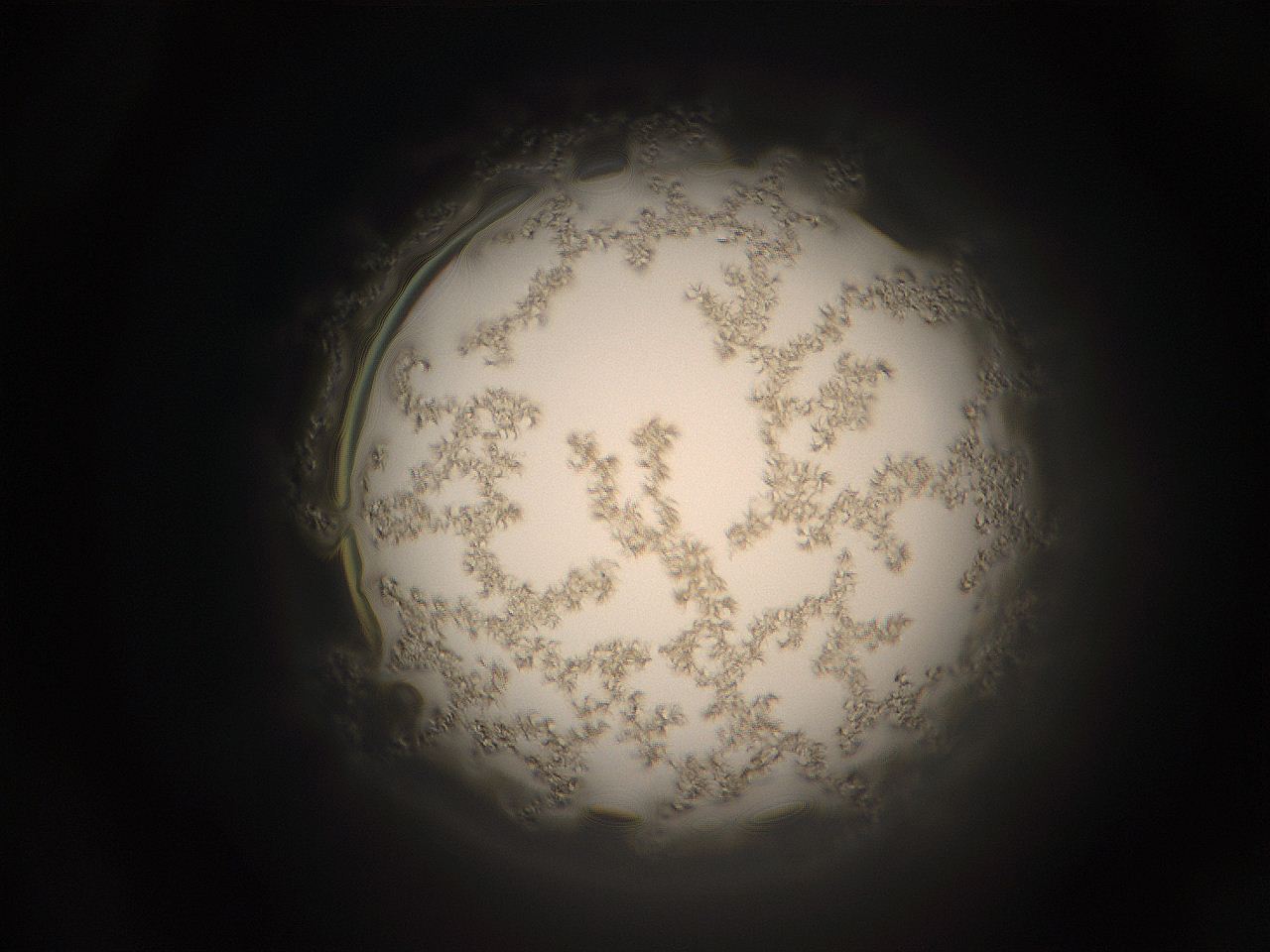059h_A17_ImagerDefaults_9.jpg