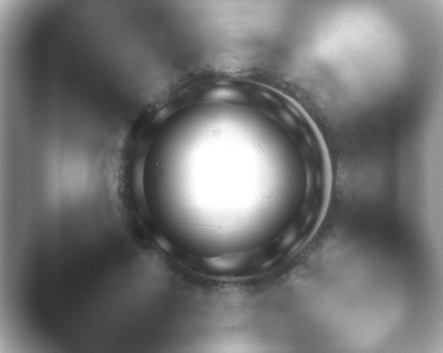 X0000046170404200502032046.png