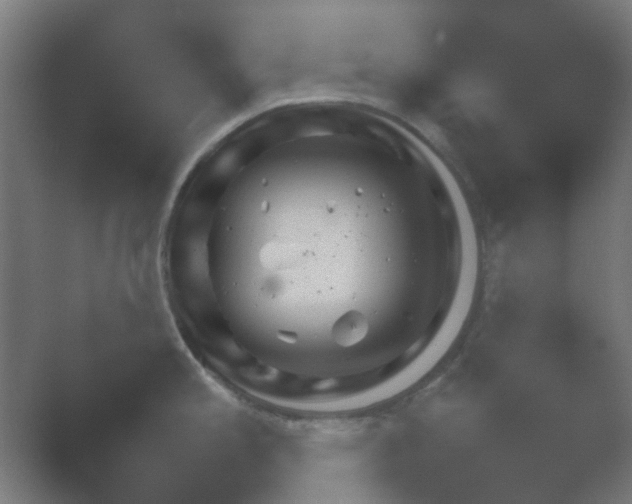 X0000054111197200508022051.png