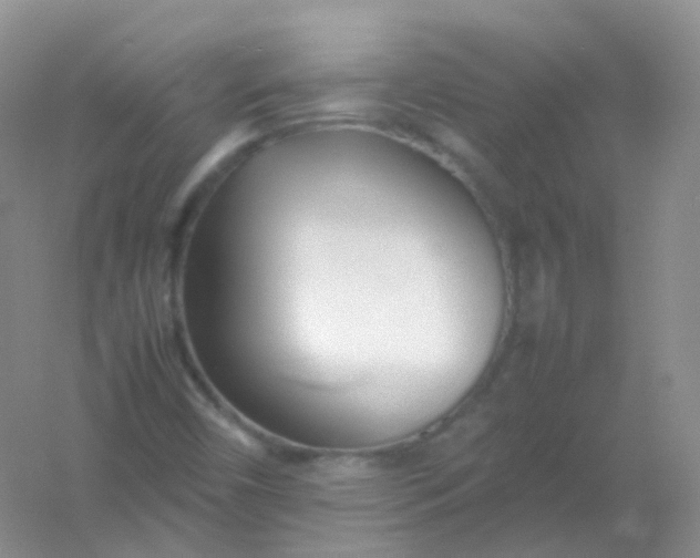 X0000054331450200508111906.png