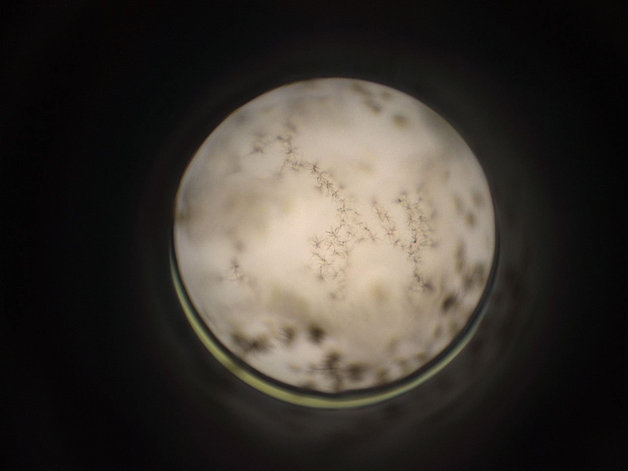 059h_B5_ImagerDefaults_9.jpg