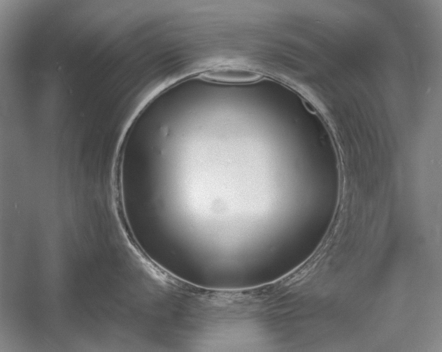 X0000055061056200508161641.png