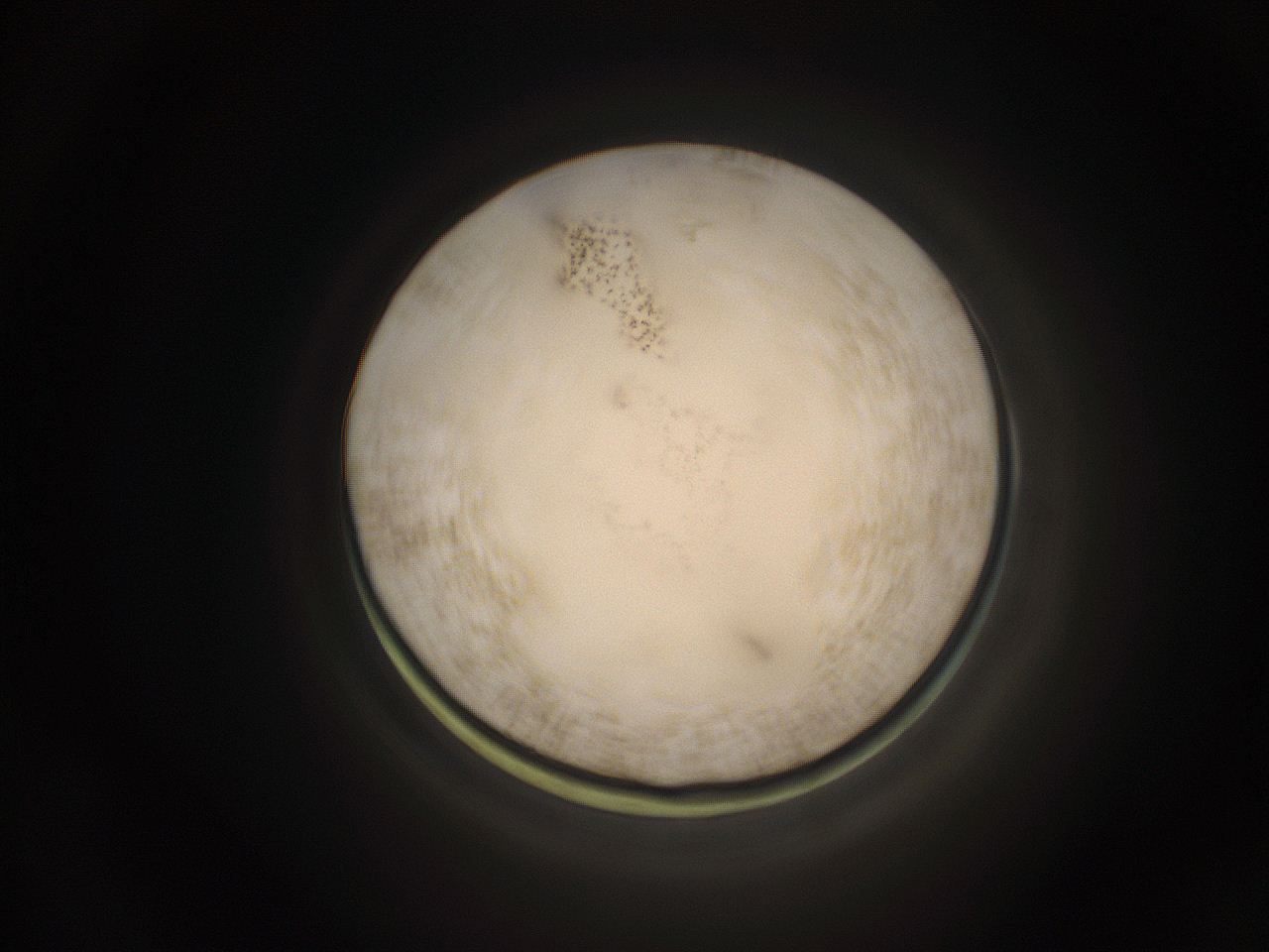 059h_B4_ImagerDefaults_9.jpg