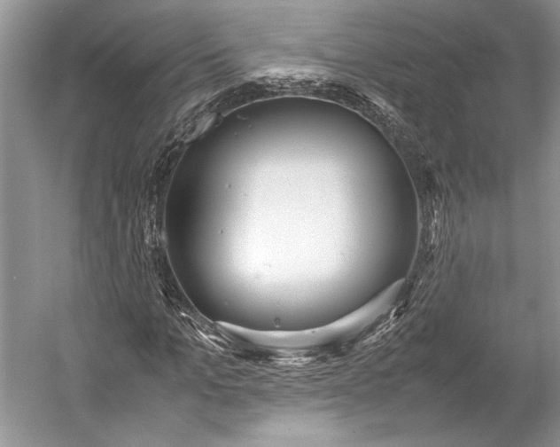 X0000055060965200508161641.png