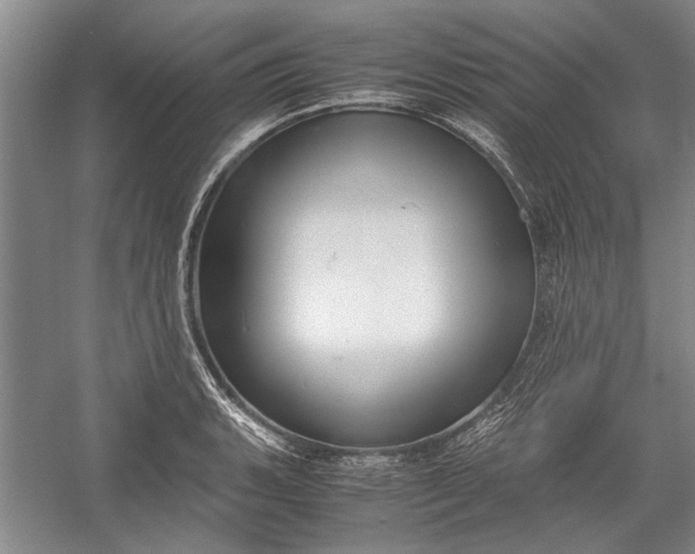 X0000055061135200508161639.png