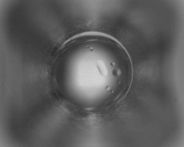 X0000054970232200509051512.png
