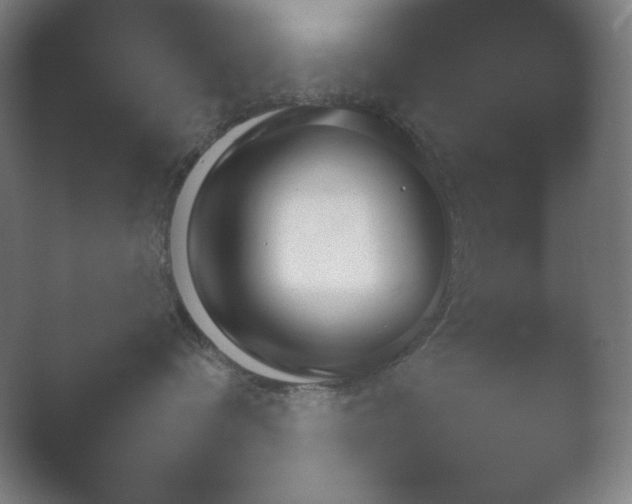 X0000054970336200509051510.png