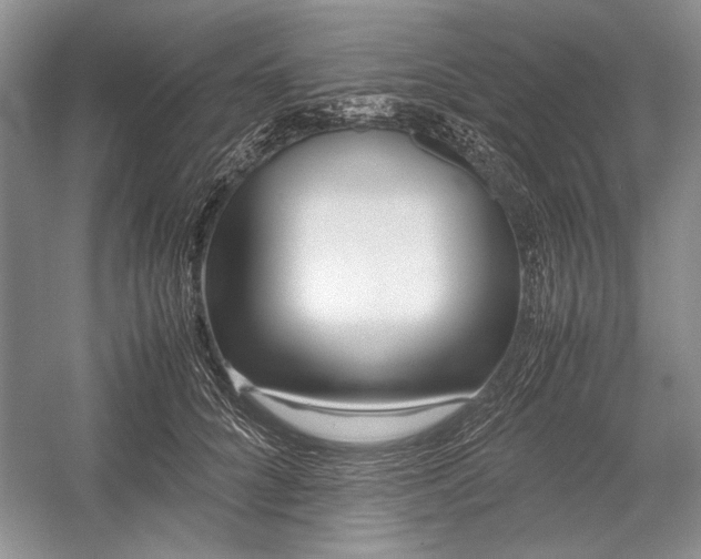 X0000055060704200508161646.png