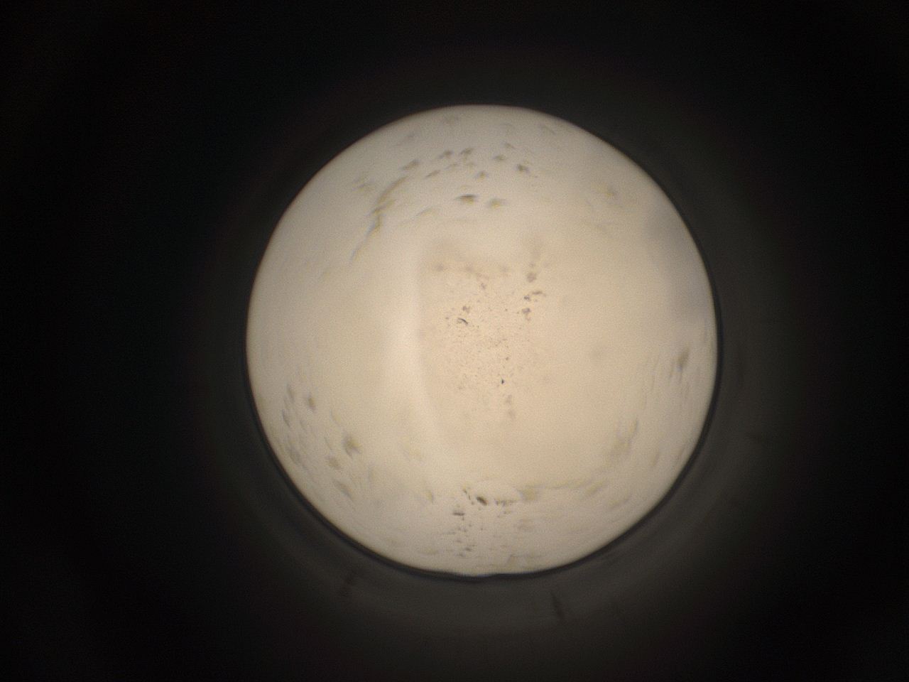 059h_D15_ImagerDefaults_9.jpg
