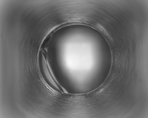 X0000055060884200508161643.png