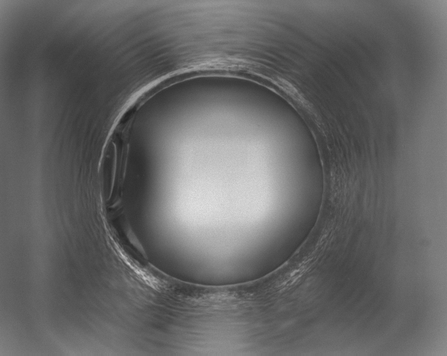 X0000055210838200508301319.png