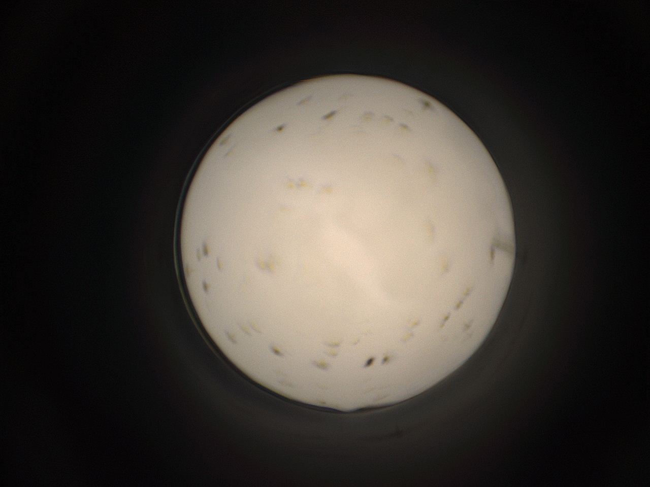 059h_D16_ImagerDefaults_9.jpg