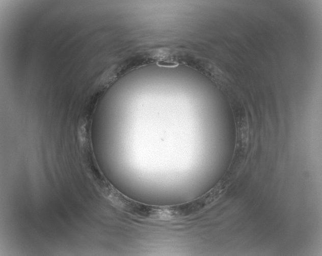 X0000054330611200508111921.png