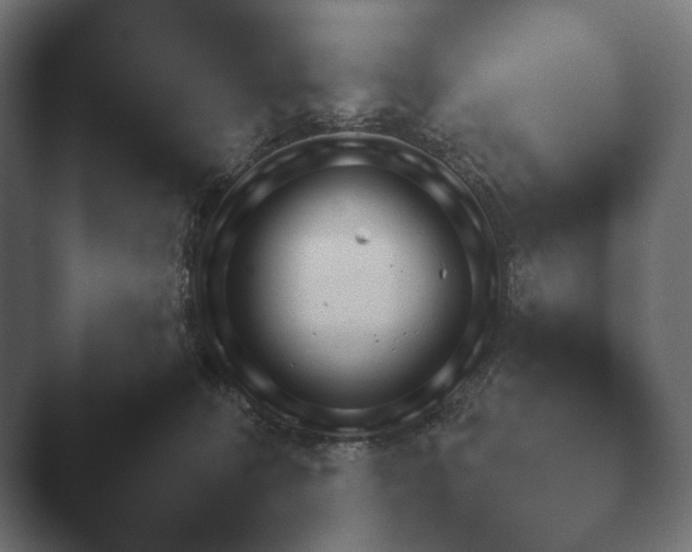 X0000047470324200503091605.png