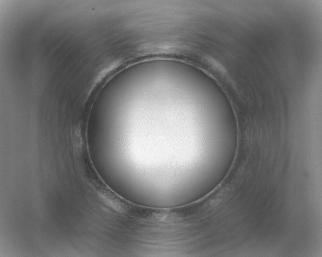 X0000054331218200508111910.png