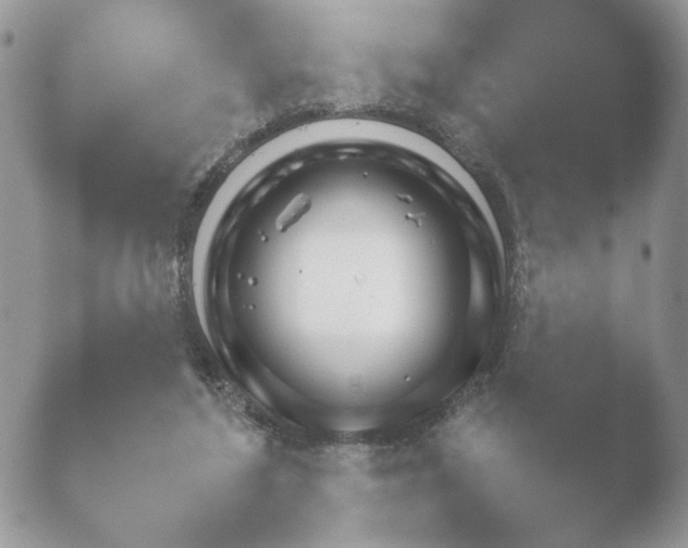 X0000052120212200507262100.png