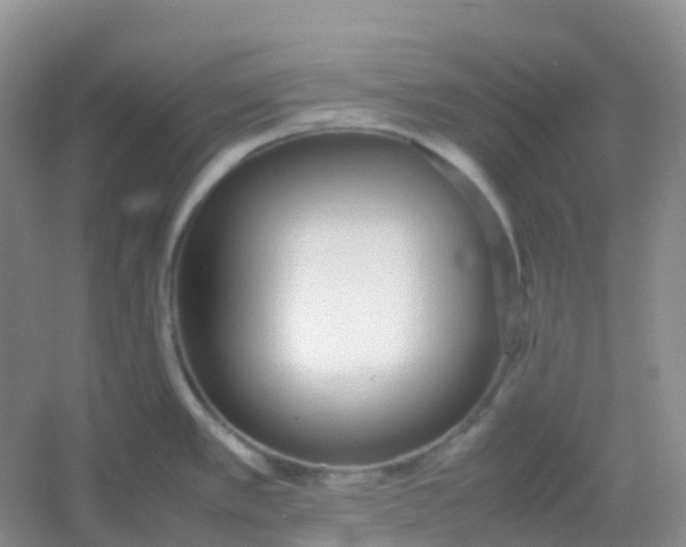 X0000054331389200508111907.png