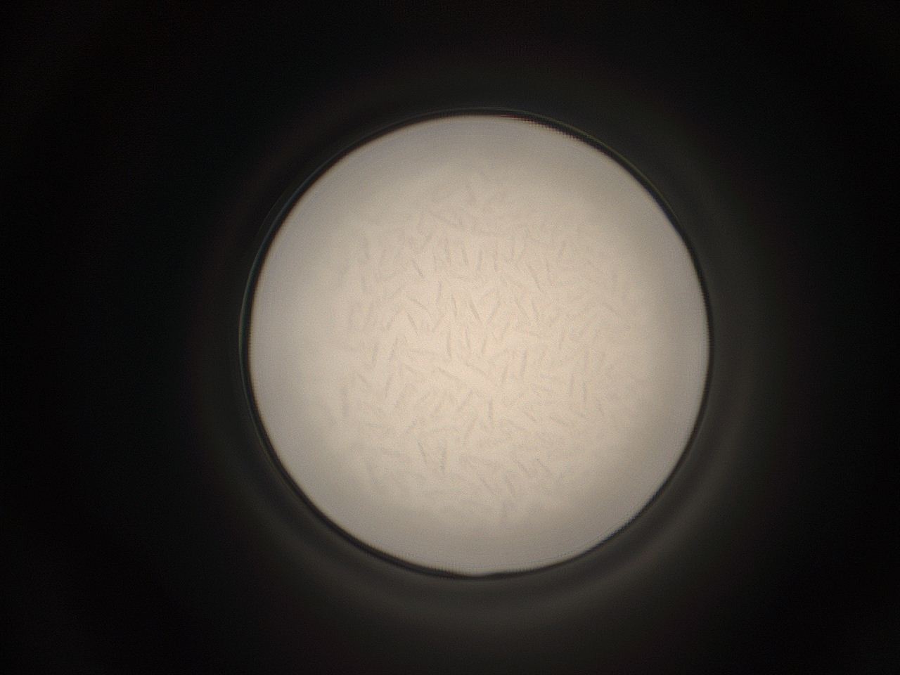 059h_D19_ImagerDefaults_9.jpg