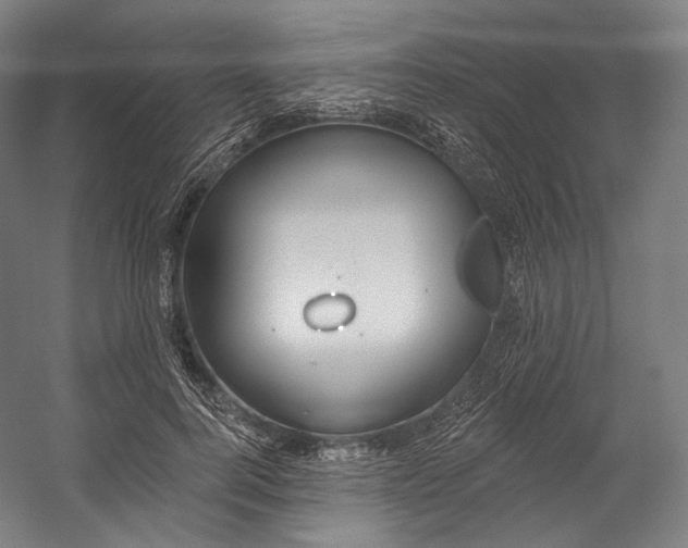 X0000055210744200508301321.png