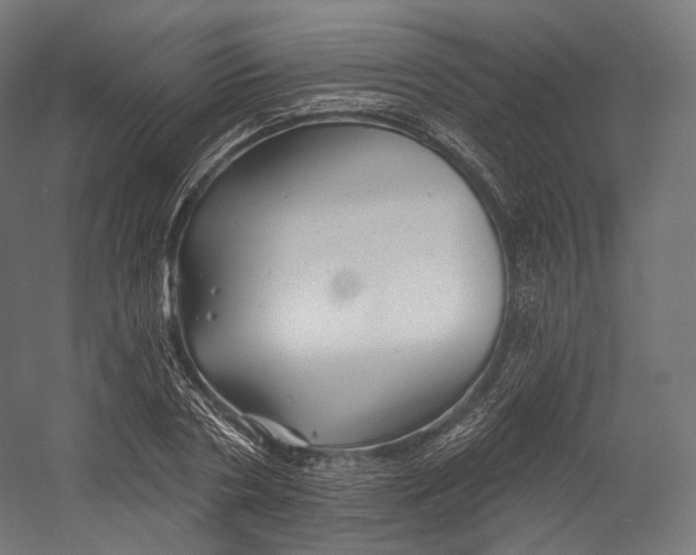 X0000055210786200508301320.png