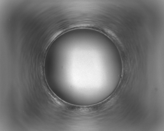 X0000054331177200508111911.png