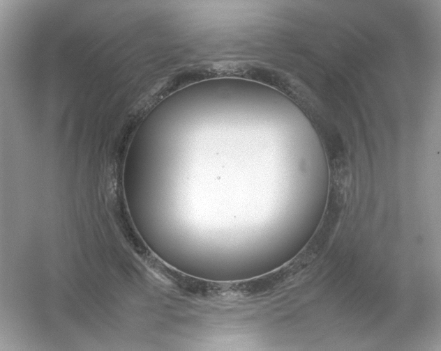 X0000054330593200508111921.png