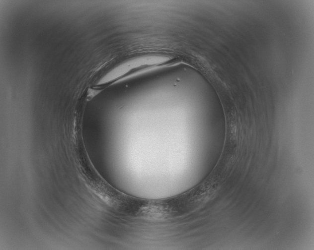 X0000055210211200508301330.png