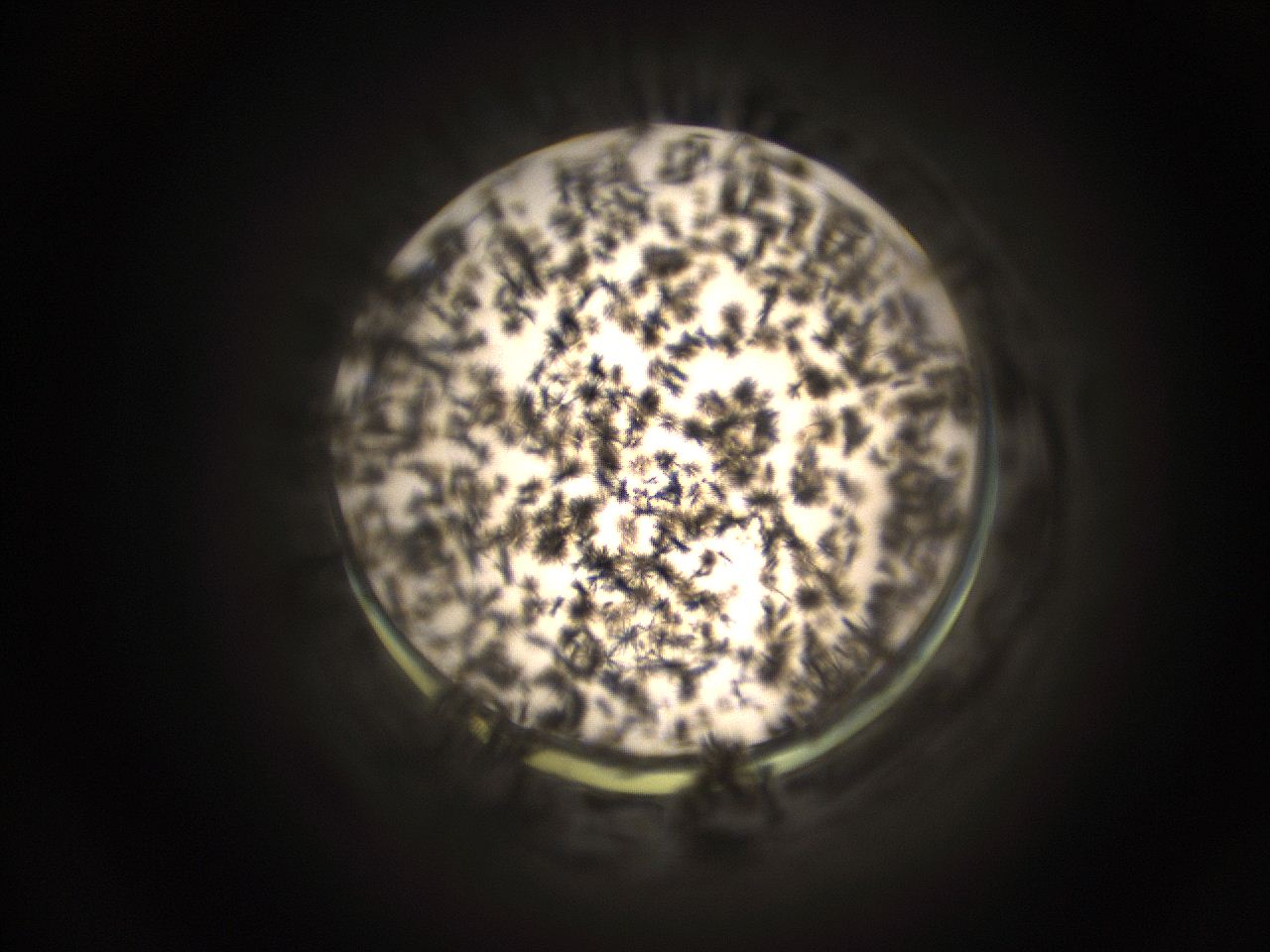 059h_E1_ImagerDefaults_9.jpg