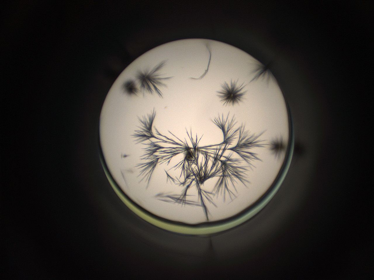 059h_E2_ImagerDefaults_9.jpg