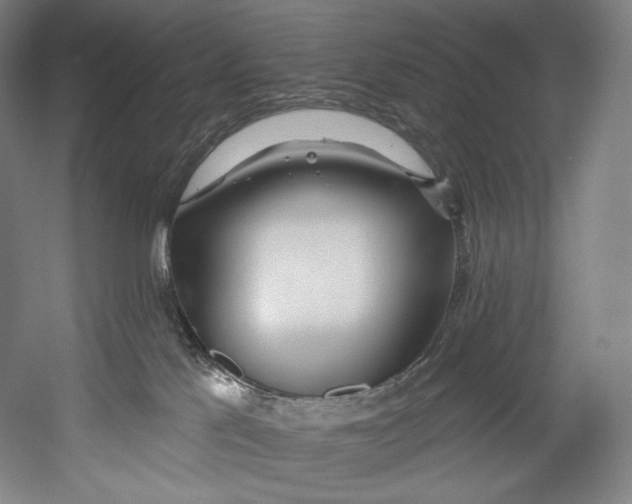 X0000055210041200508301333.png