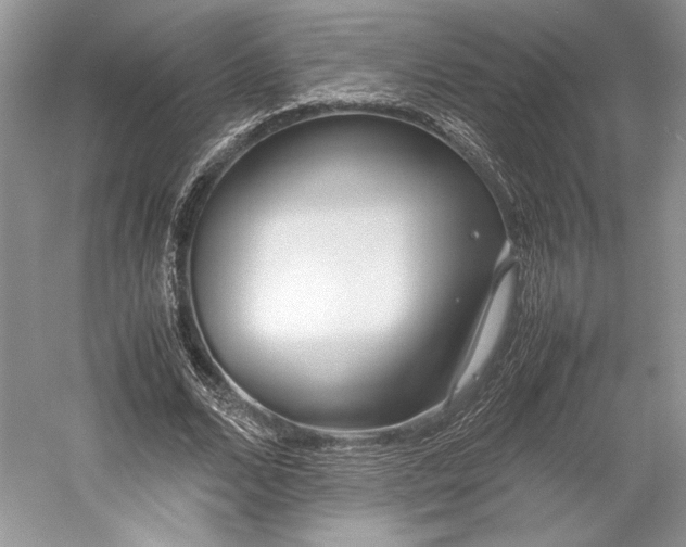 X0000055060680200508161646.png