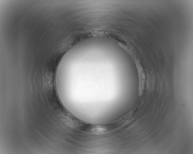 X0000054330610200508111921.png